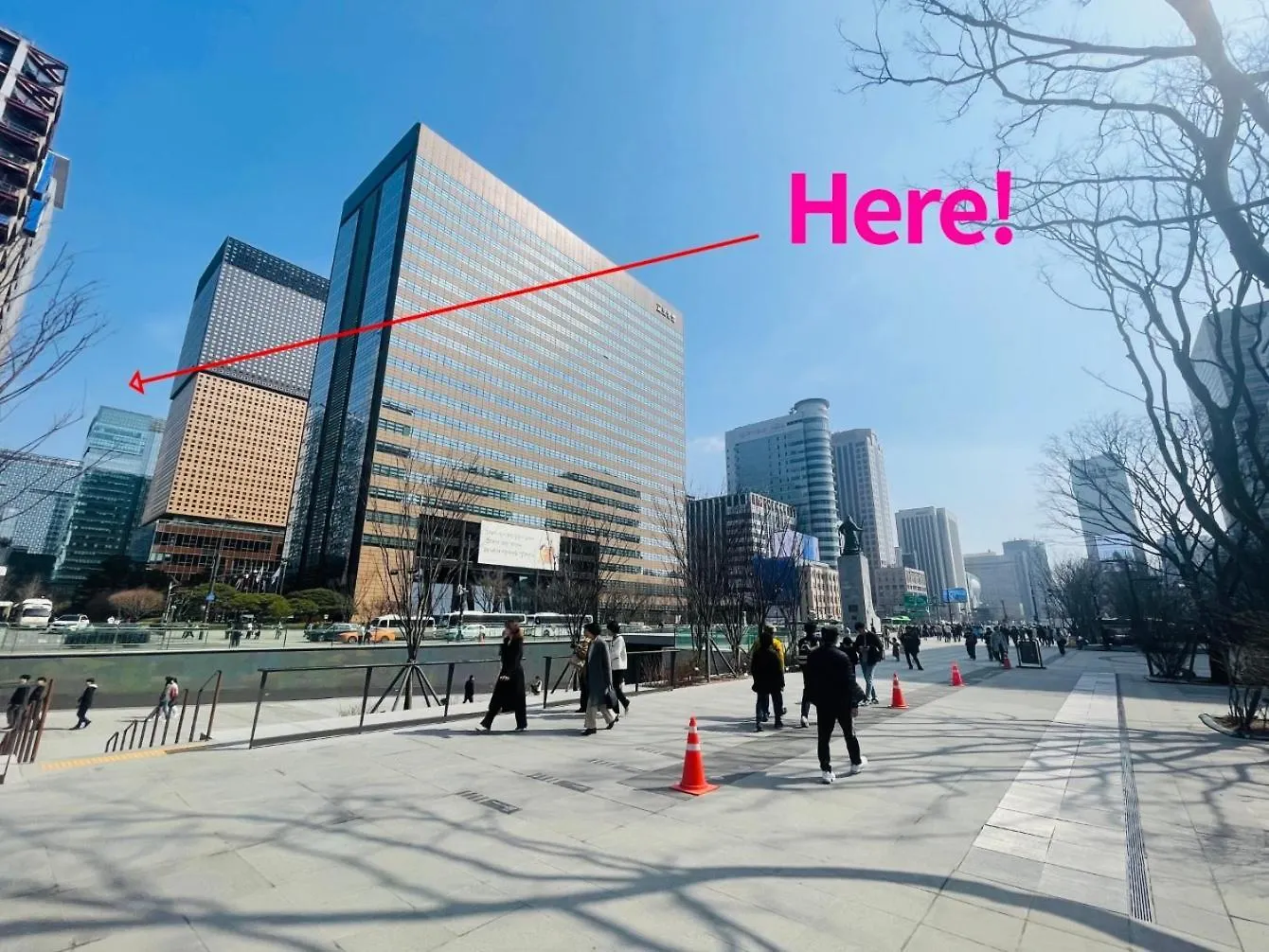 The Black South Korea